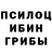 Псилоцибиновые грибы Magic Shrooms Goda Beats