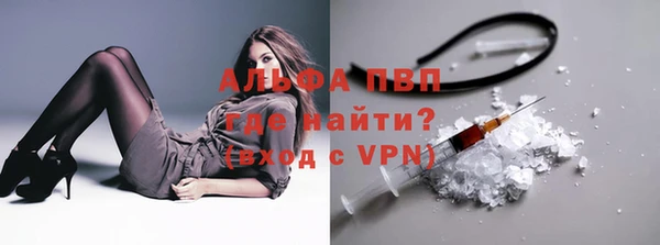 соль ск Новодвинск