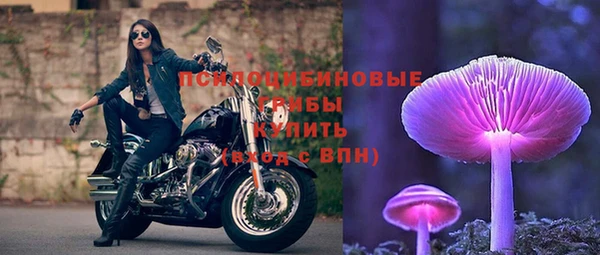 МДМА Новозыбков